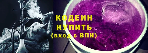 прущие грибы Кострома